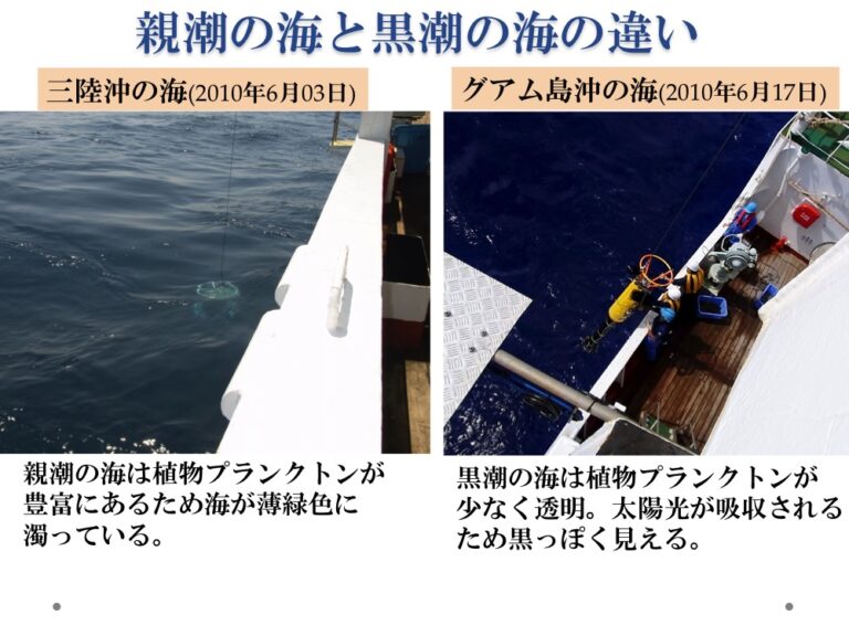 「海の“流れ”を知る科学実験」（後編） | みなとラボ（3710Lab）｜海洋教育の次世代プラットフォーム