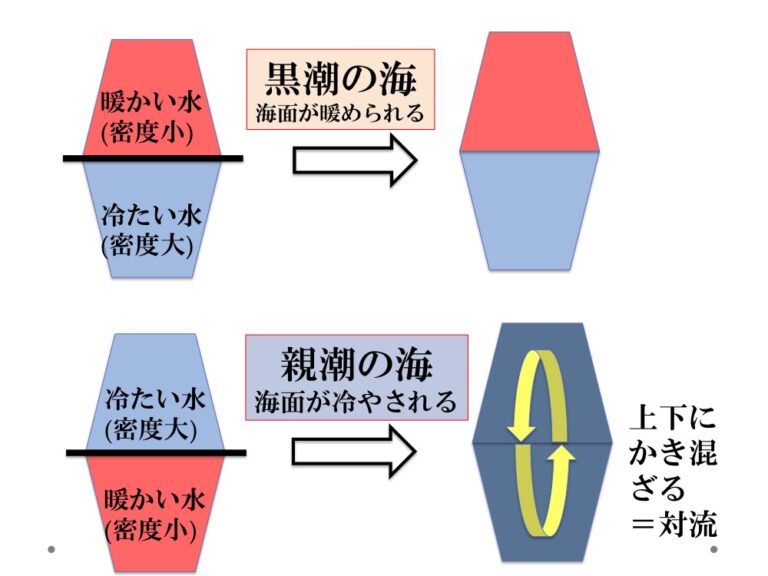 「海の“流れ”を知る科学実験」(後編) | みなとラボ(3710Lab)|海洋教育の次世代プラットフォーム