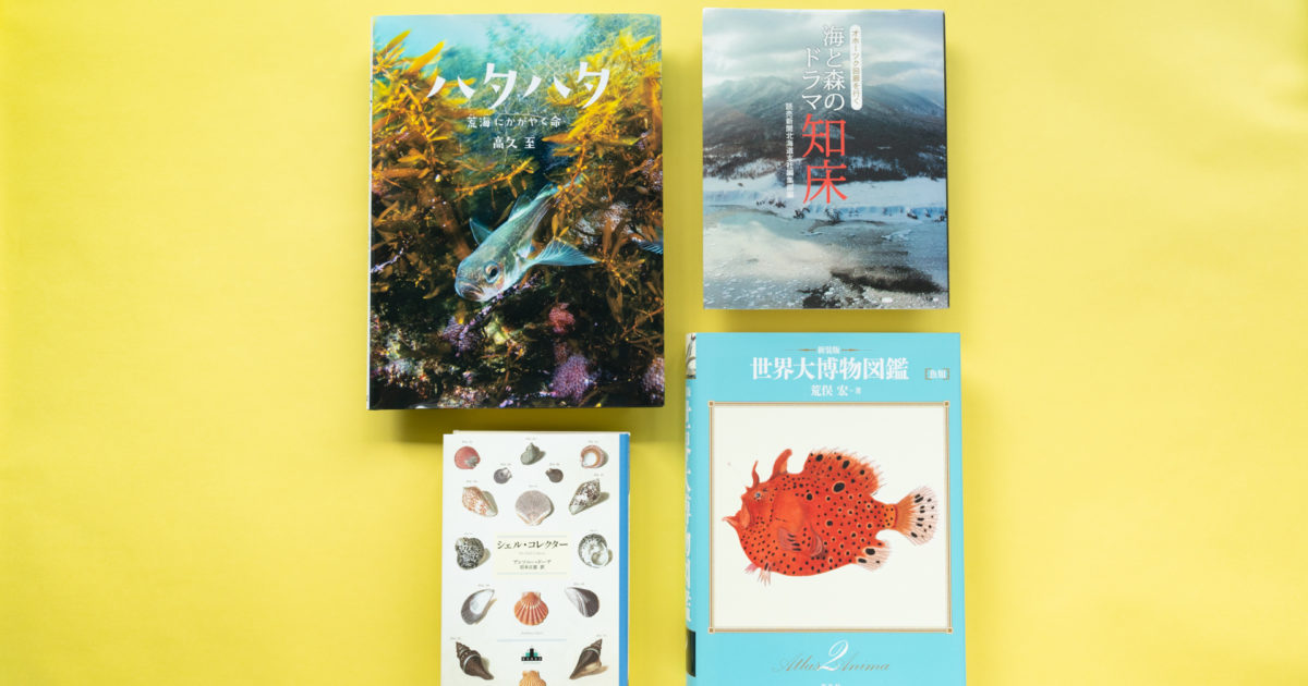 Read the Sea」vol.16 SAKANA BOOKS 浦上宥海 | みなとラボ（3710Lab
